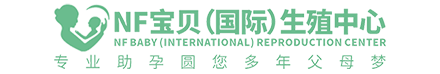 滨兴网